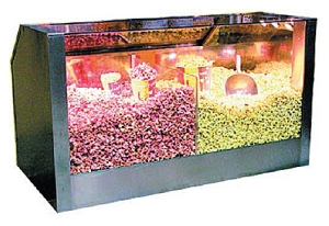 ВИТРИНА ДЛЯ ПОПКОРНА ROBOLABS VTP2-120N